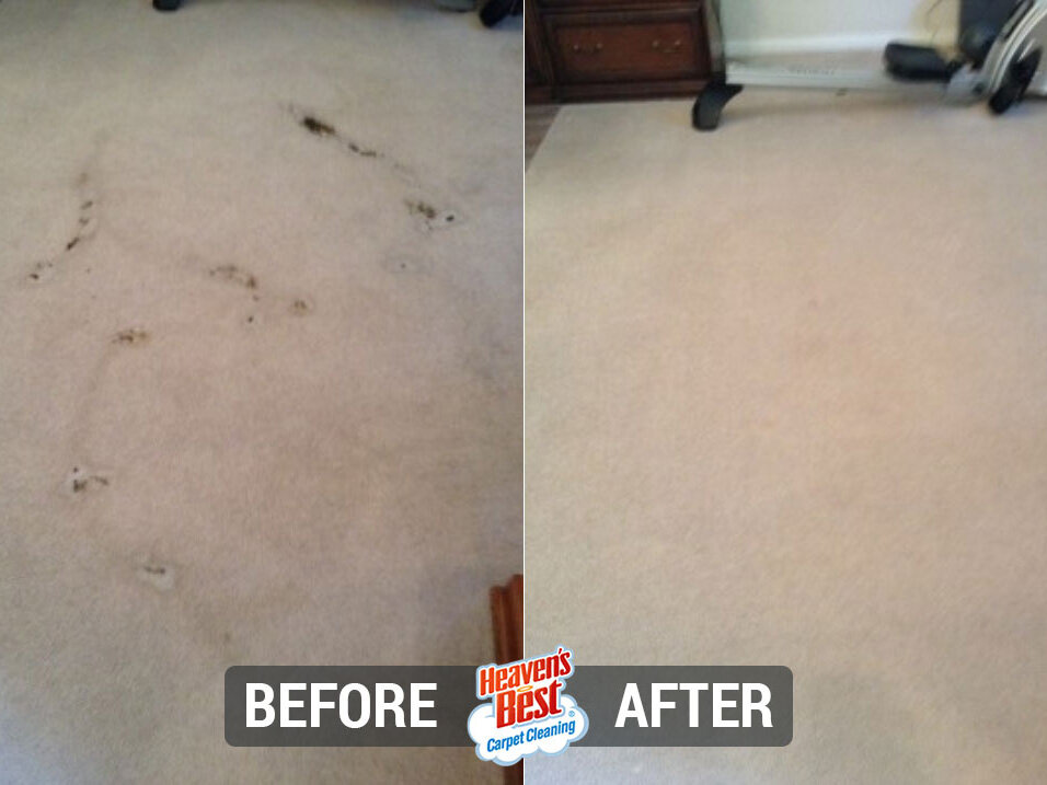 Heaven's Best Carpet Cleaning Buckeye AZ