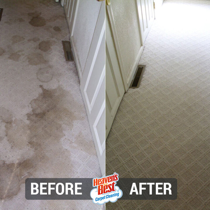 Heaven's Best Carpet Cleaning Buckeye AZ